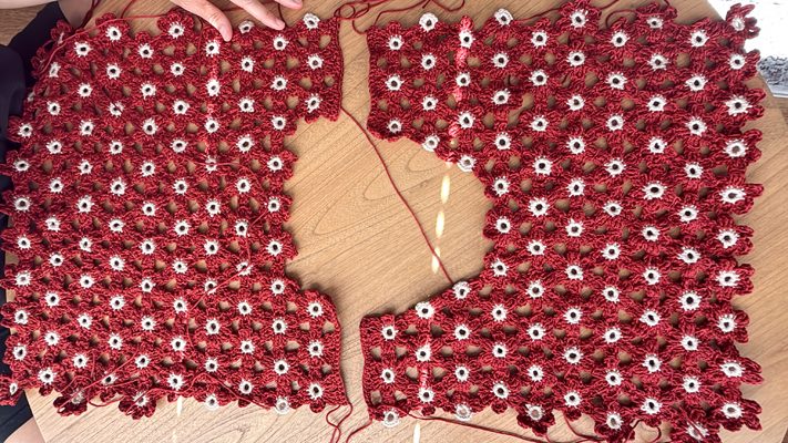 Crochet Daisy Top - FREE PATTERN Sizes Child XL - Adult XXL // www.deliacreates.com
