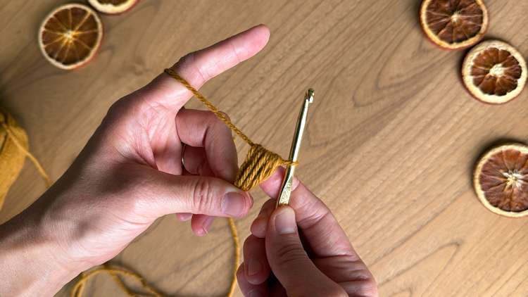 Chains + Puffs Crochet Garland // free pattern and video tutorial at www.deliacreates.com