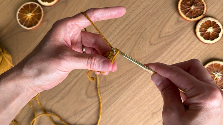 Chains + Puffs Crochet Garland // free pattern and video tutorial at www.deliacreates.com