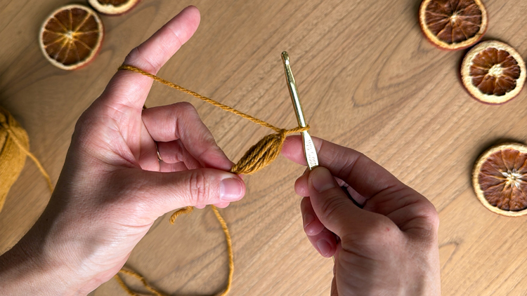 Chains + Puffs Crochet Garland // free pattern and video tutorial at www.deliacreates.com