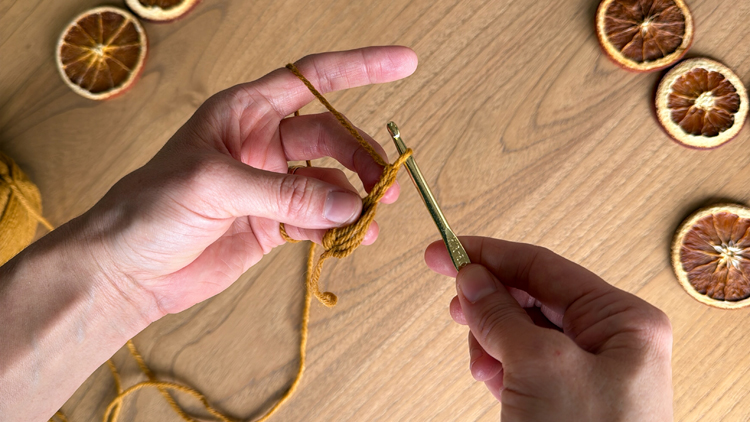 Chains + Puffs Crochet Garland // free pattern and video tutorial at www.deliacreates.com