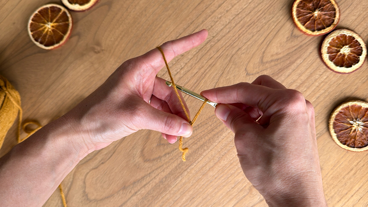 Chains + Puffs Crochet Garland // free pattern and video tutorial at www.deliacreates.com