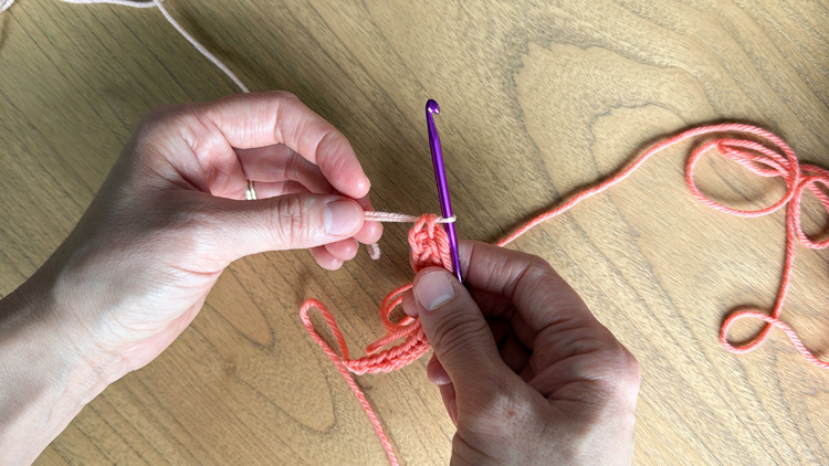 Color Blocked Crochet Beanie // free pattern and video tutorial at www.deliacreates.com
