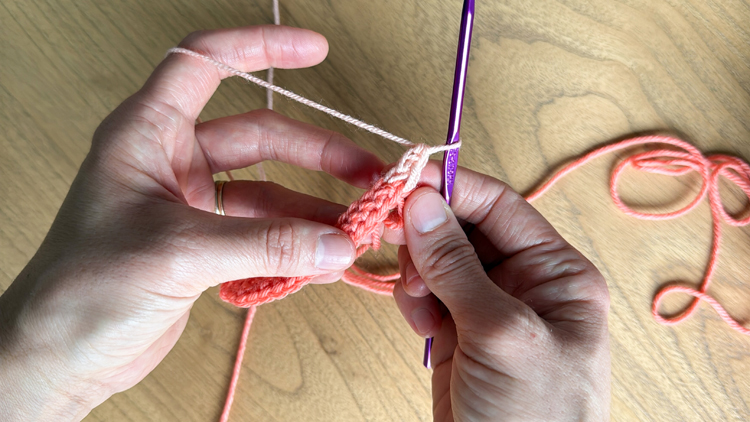 Color Blocked Crochet Beanie // free pattern and video tutorial at www.deliacreates.com