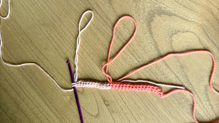 Color Blocked Crochet Beanie // free pattern and video tutorial at www.deliacreates.com