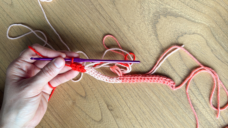 Color Blocked Crochet Beanie // free pattern and video tutorial at www.deliacreates.com