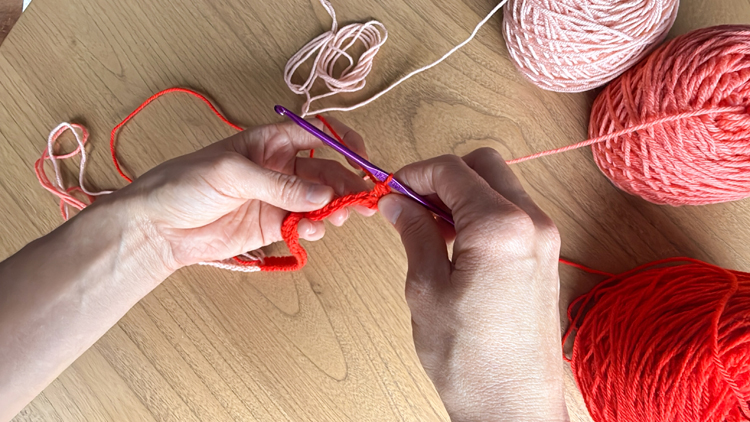 Color Blocked Crochet Beanie // free pattern and video tutorial at www.deliacreates.com