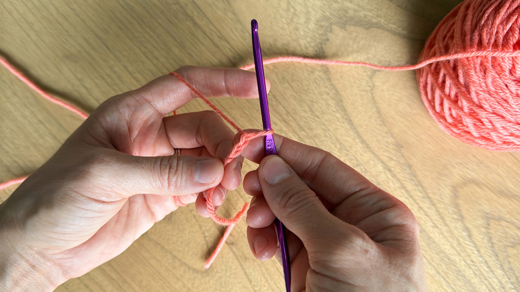 Color Blocked Crochet Beanie // free pattern and video tutorial at www.deliacreates.com