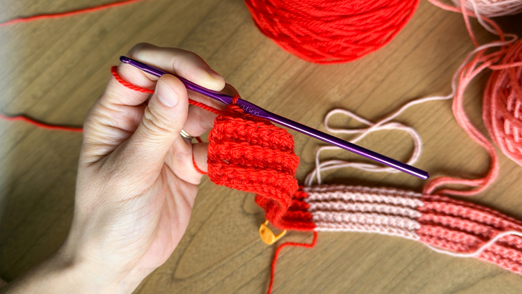 Color Blocked Crochet Beanie // free pattern and video tutorial at www.deliacreates.com