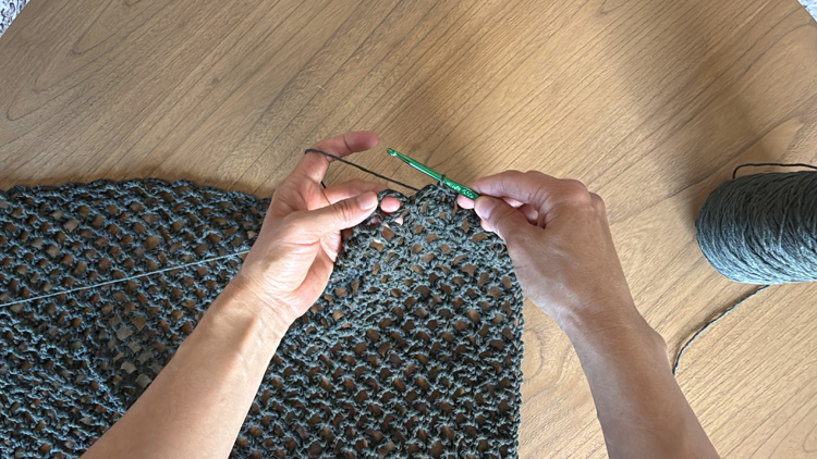Mesh Market Crochet Bag - Free Pattern // www.deliacreates.com